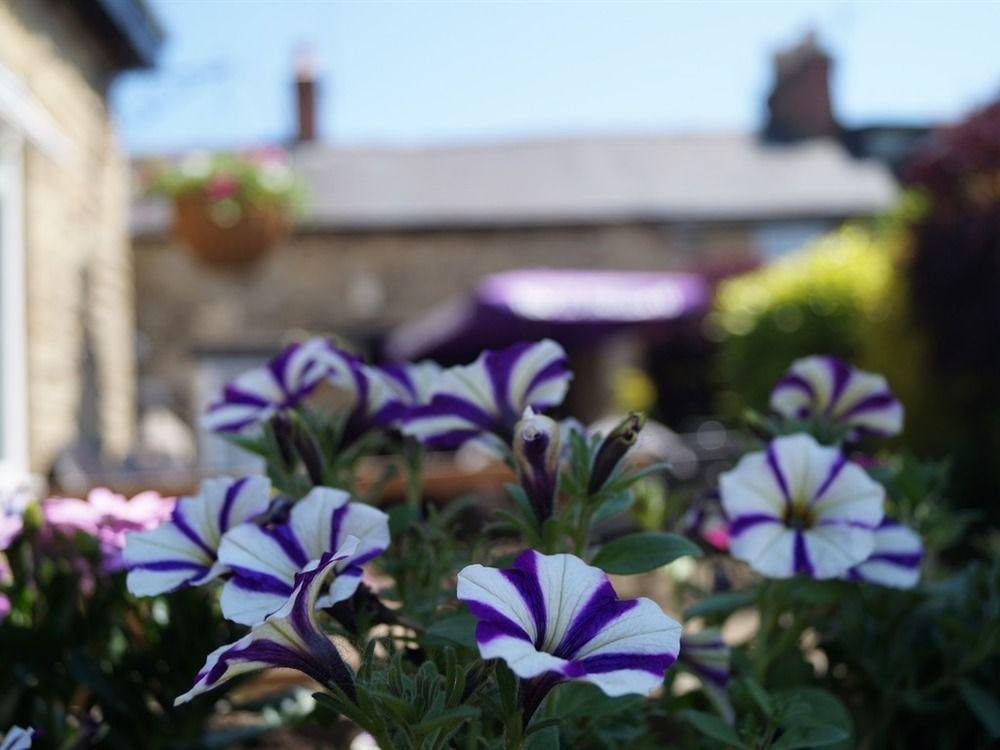 The Plough Bicester Buitenkant foto
